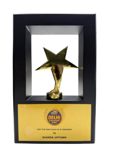 Delhi Icon Award 2024-25